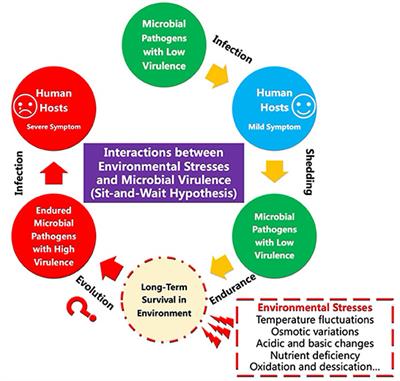 Editorial: What does not kill you makes you stronger: Interactions between environmental stresses and microbial virulence